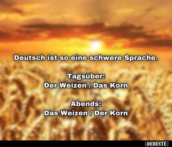 Deutsch ist so eine schwere Sprache... - Lustige Bilder | DEBESTE.de