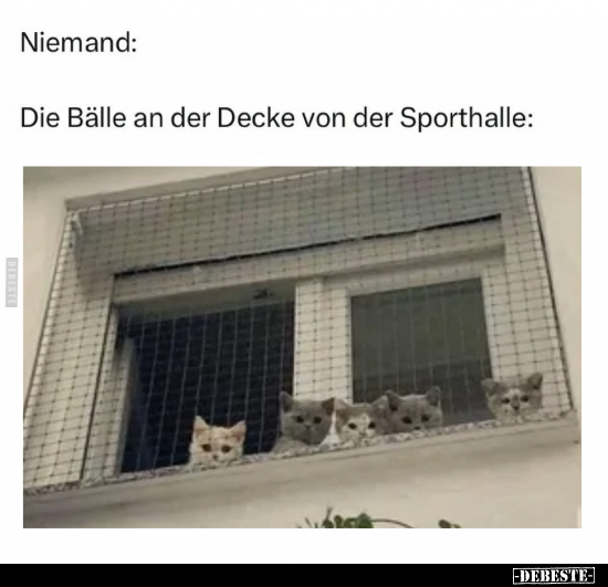 Die Bälle an der Decke von der Sporthalle.. - Lustige Bilder | DEBESTE.de