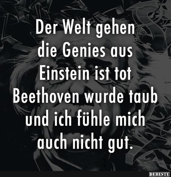 Der Welt gehen die Genies aus Einstein ist tot Beethoven.. - Lustige Bilder | DEBESTE.de