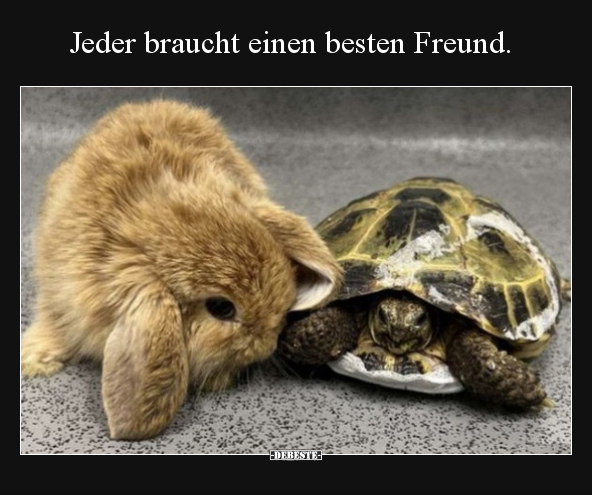Jeder braucht einen besten Freund... - Lustige Bilder | DEBESTE.de