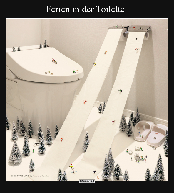 Ferien in der Toilette.. - Lustige Bilder | DEBESTE.de
