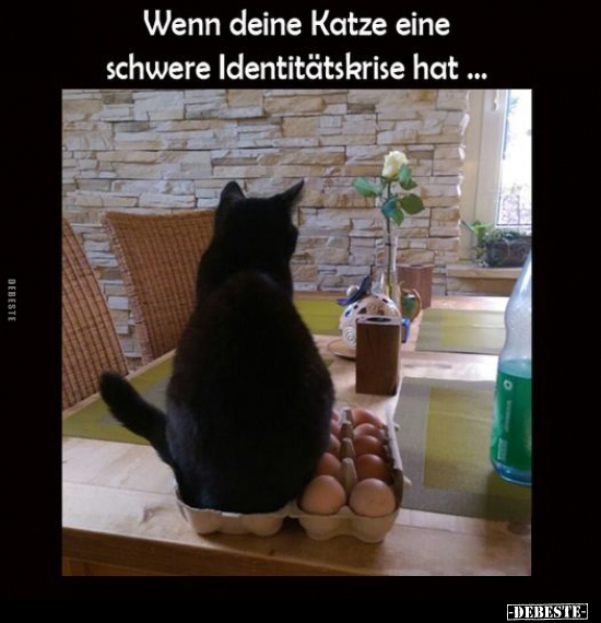 Wenn deine Katze eine schwere Identitätskrise hat... - Lustige Bilder | DEBESTE.de