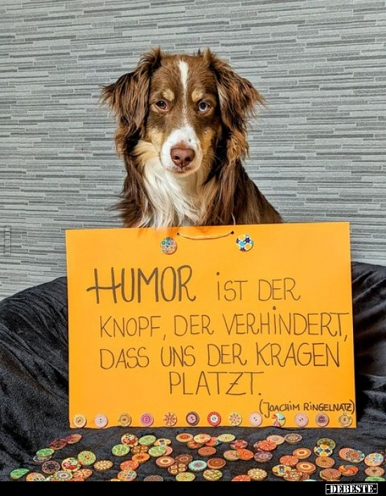 Humor ist der Knopf, der verhindert dass uns der Kragen.. - Lustige Bilder | DEBESTE.de