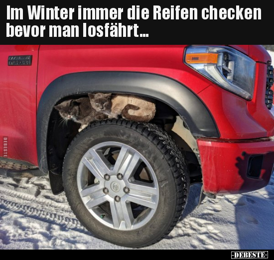 Im Winter immer die Reifen checken bevor man.. - Lustige Bilder | DEBESTE.de
