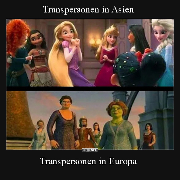 Transpersonen in Asien / Transpersonen in Europa.. - Lustige Bilder | DEBESTE.de