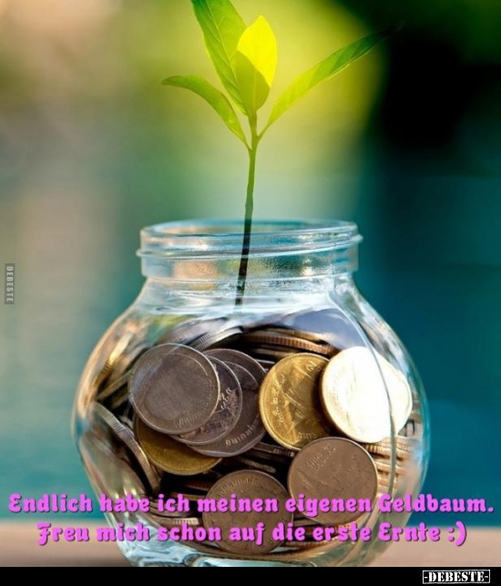 Endlich habe ich meinen eigenen Geldbaum... - Lustige Bilder | DEBESTE.de