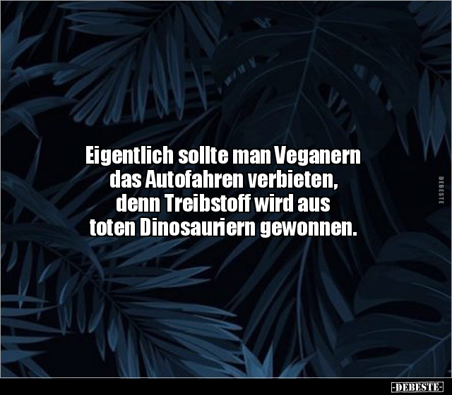 Eigentlich sollte man Veganern das Autofahren verbieten.. - Lustige Bilder | DEBESTE.de
