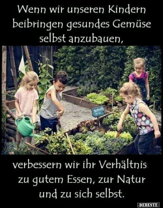 Wenn wir unseren Kindern beibringen gesundes Gemüse selbst.. - Lustige Bilder | DEBESTE.de