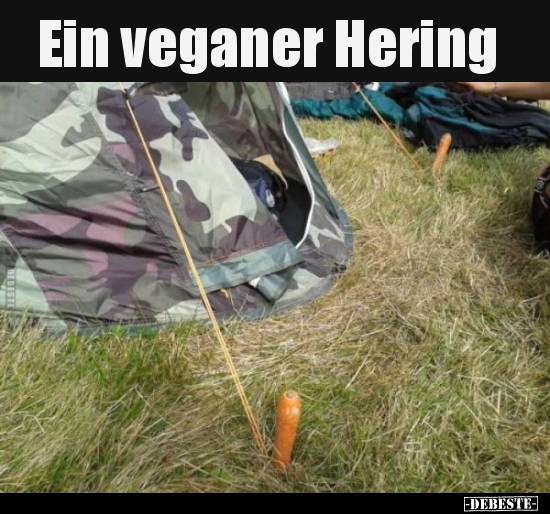 Ein veganer Hering.. - Lustige Bilder | DEBESTE.de