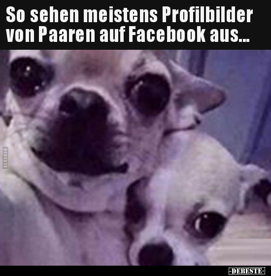 So sehen meistens Profilbilder von Paaren auf Facebook.. - Lustige Bilder | DEBESTE.de