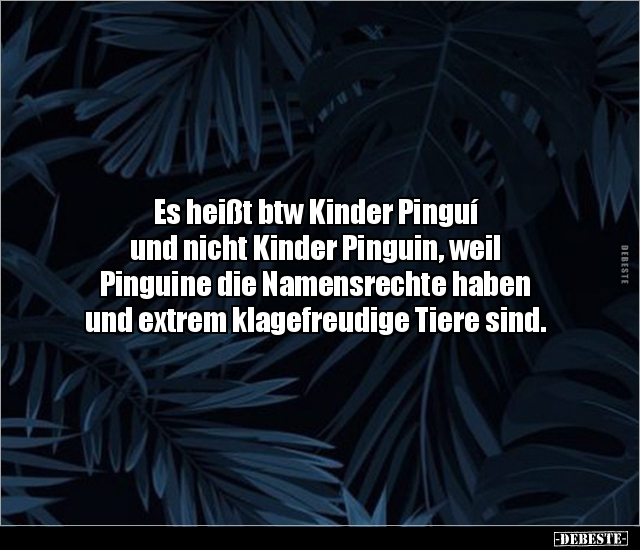 Es heißt btw Kinder Pinguí und nicht Kinder Pinguin, weil.. - Lustige Bilder | DEBESTE.de