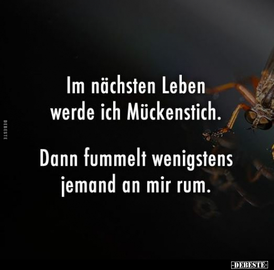 Im nächsten Leben werde ich Mückenstich.. - Lustige Bilder | DEBESTE.de