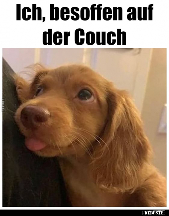 Ich, besoffen auf der Couch.. - Lustige Bilder | DEBESTE.de