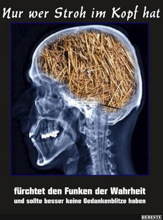 47+ Sarkastische sprueche whatsapp , Nur wer Stroh im Kopf hat.. Lustige Bilder, Sprüche, Witze, echt lustig