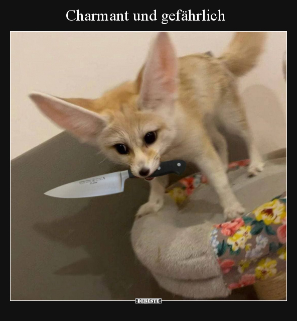 Charmant und gefährlich.. - Lustige Bilder | DEBESTE.de
