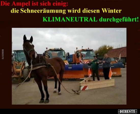 Die Ampel ist sich einig: Die Schneeräumung wird diesen.. - Lustige Bilder | DEBESTE.de