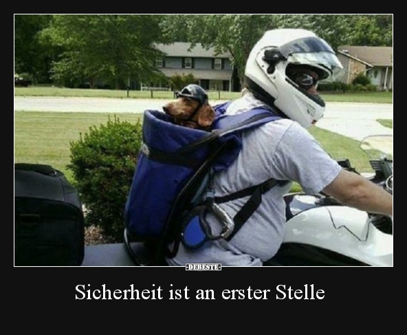 Sicherheit ist an erster Stelle.. - Lustige Bilder | DEBESTE.de