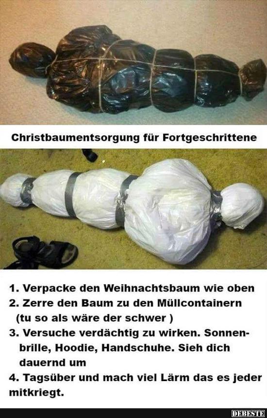 Christbaumentsorgung für Fortgeschrittene.. - Lustige Bilder | DEBESTE.de