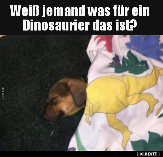 Weiß jemand was für ein Dinosaurier das ist?.. - Lustige Bilder | DEBESTE.de
