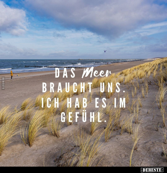 Das Meer braucht uns.. - Lustige Bilder | DEBESTE.de