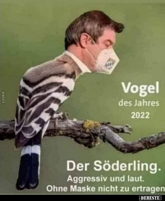 Vogel des Jahres 2022.. - Lustige Bilder | DEBESTE.de
