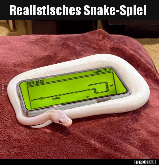Realistisches Snake-Spiel.. - Lustige Bilder | DEBESTE.de