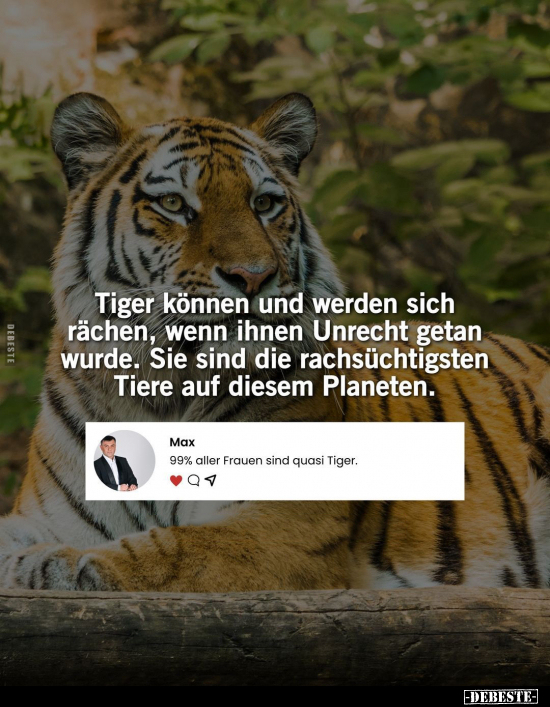 Tiger können und werden sich rächen, wenn ihnen Unrecht.. - Lustige Bilder | DEBESTE.de