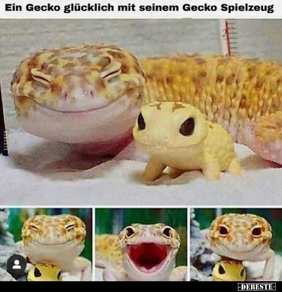 Ein Gecko glücklich mit seinem Gecko Spielzeug.. - Lustige Bilder | DEBESTE.de