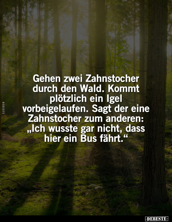 Gehen zwei Zahnstocher durch den Wald.. - Lustige Bilder | DEBESTE.de