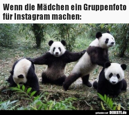 Wenn die Mädchen ein Gruppenfoto für Instagram machen.. - Lustige Bilder | DEBESTE.de