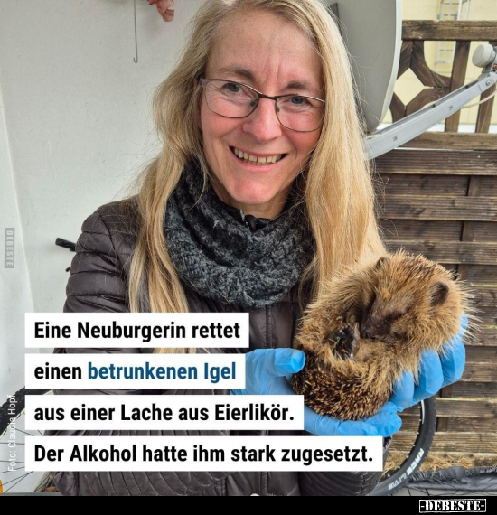 Eine Neuburgerin rettet einen betrunkenen Igel aus.. - Lustige Bilder | DEBESTE.de