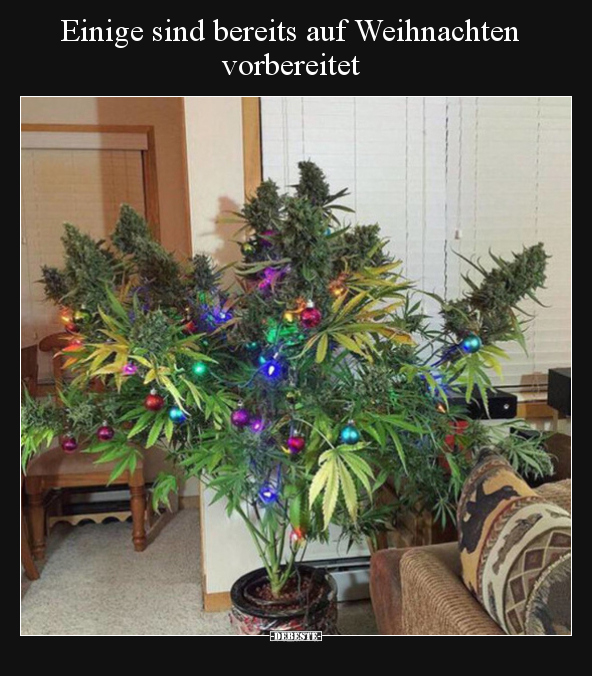 Einige sind bereits auf Weihnachten vorbereitet.. - Lustige Bilder | DEBESTE.de