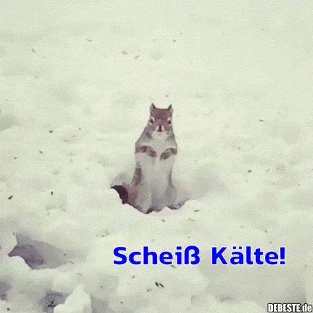 Scheiß Kälte! - Lustige Bilder | DEBESTE.de