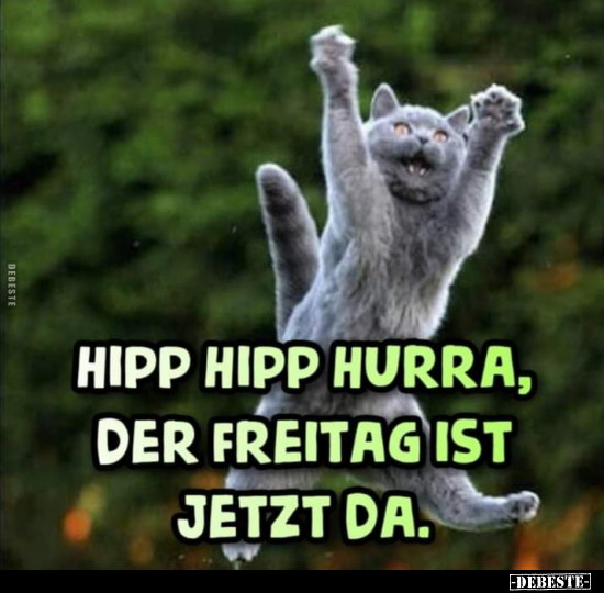 Hipp, hipp, hurra, der Freitag ist da... - Lustige Bilder | DEBESTE.de