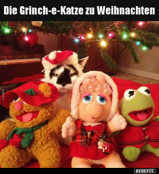Die Grinch-e-Katze zu Weihnachten.. - Lustige Bilder | DEBESTE.de