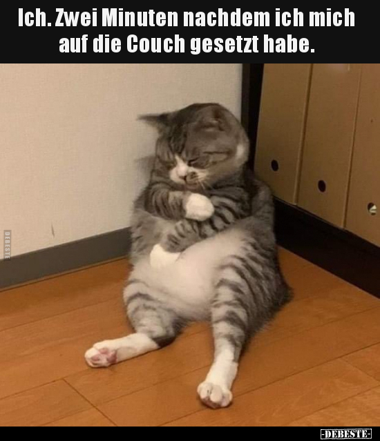 Ich. Zwei Minuten nachdem ich mich auf die Couch gesetzt.. - Lustige Bilder | DEBESTE.de