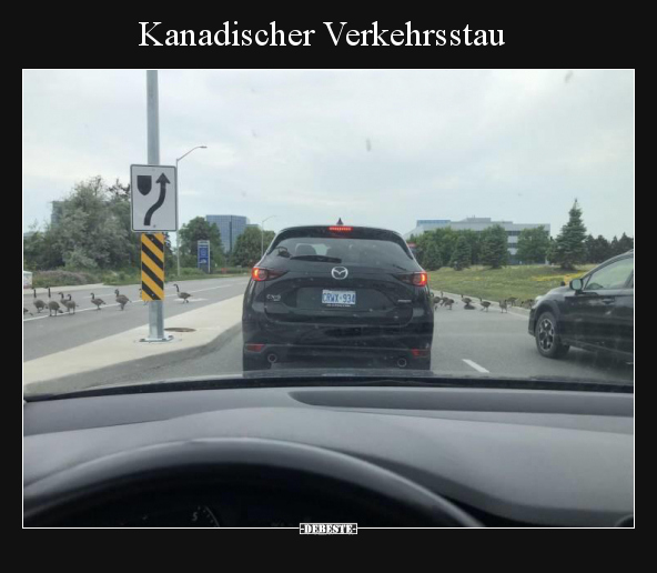 Kanadischer Verkehrsstau.. - Lustige Bilder | DEBESTE.de