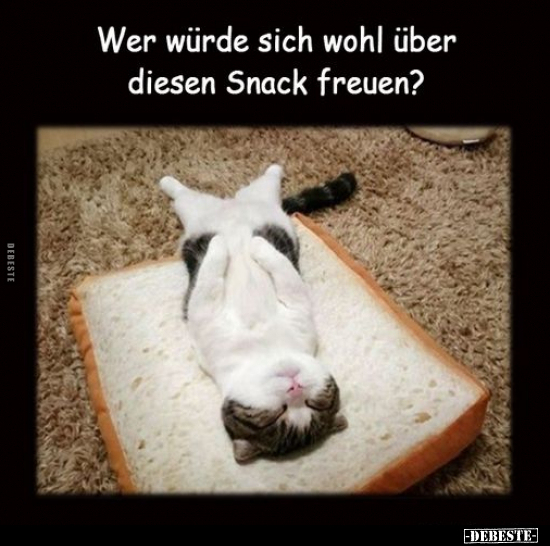 Wer würde sich wohl über diesen Snack freuen?.. - Lustige Bilder | DEBESTE.de