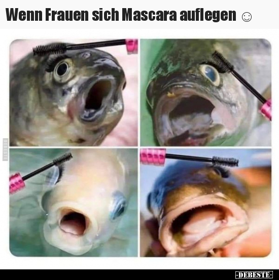 Wenn Frauen sich Mascara auflegen... - Lustige Bilder | DEBESTE.de
