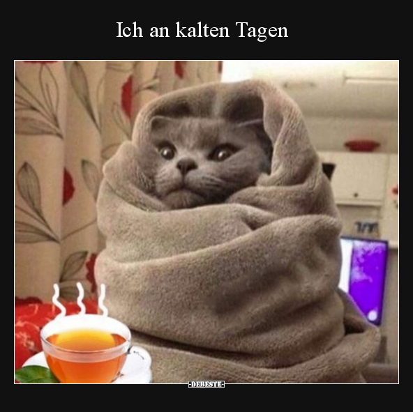 Ich an kalten Tagen.. - Lustige Bilder | DEBESTE.de