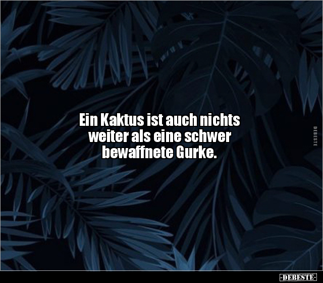 Ein Kaktus ist auch nichts weiter als eine schwer.. - Lustige Bilder | DEBESTE.de