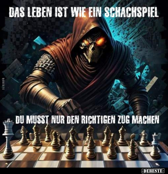 Das Leben ist wie ein Schachspiel.. - Lustige Bilder | DEBESTE.de