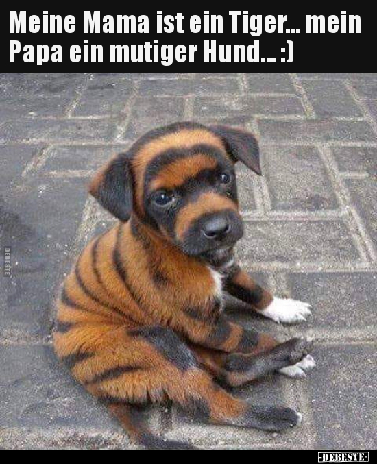 Meine Mama ist ein Tiger... mein Papa ein mutiger Hund... - Lustige Bilder | DEBESTE.de