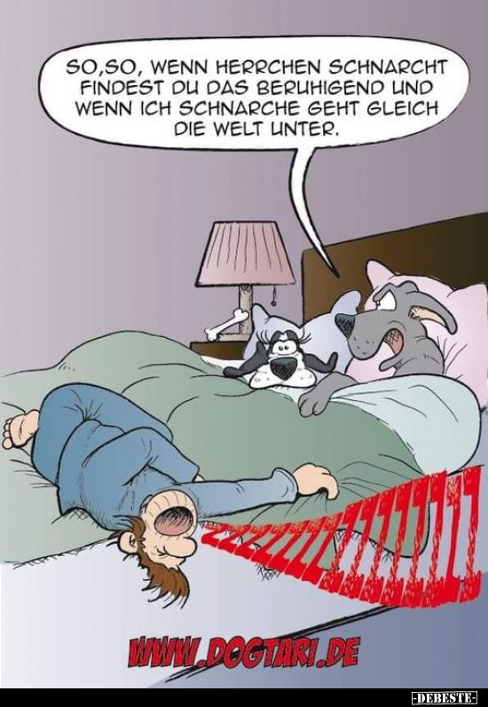 So, so, wenn Herrchen schnarcht.. - Lustige Bilder | DEBESTE.de