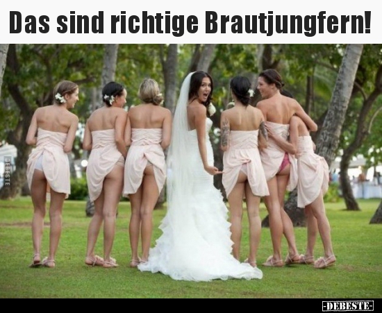 Das sind richtige Brautjungfern!.. - Lustige Bilder | DEBESTE.de