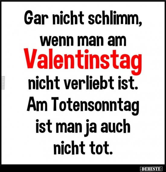 Gar nicht schlimm, wenn man am Valentinstag nicht verliebt ist.. - Lustige Bilder | DEBESTE.de