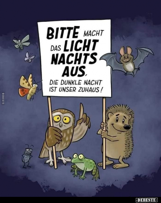 Bitte macht das Licht nachts aus.. - Lustige Bilder | DEBESTE.de
