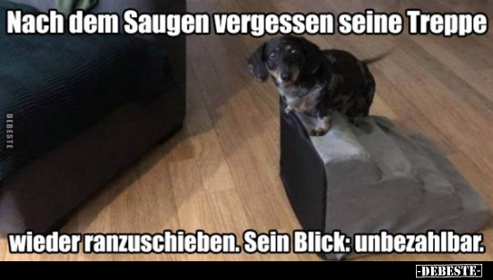 Nach dem Saugen vergessen seine Treppe.. - Lustige Bilder | DEBESTE.de
