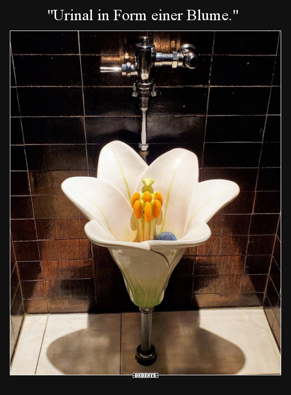 "Urinal in Form einer Blume.".. - Lustige Bilder | DEBESTE.de