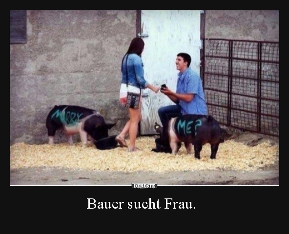 Bauer sucht Frau... - Lustige Bilder | DEBESTE.de
